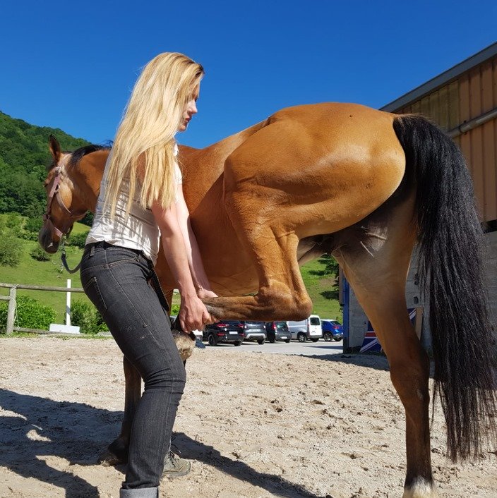 présentation- Mélissa Chavanne ostéopathe pour animaux