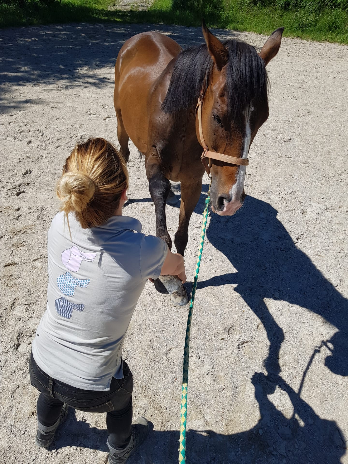 présentation- Mélissa Chavanne ostéopathe pour animaux